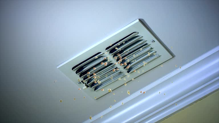 Best Professional Duct Cleaning Services  in Farmersville, CA