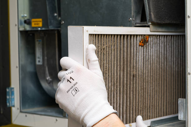 Best Ductwork Cleaning Services  in Farmersville, CA